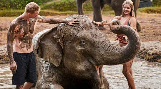 【バリ島】エレファントマッドファン　（動物園入場券とホテル往復送迎＆昼食付）
